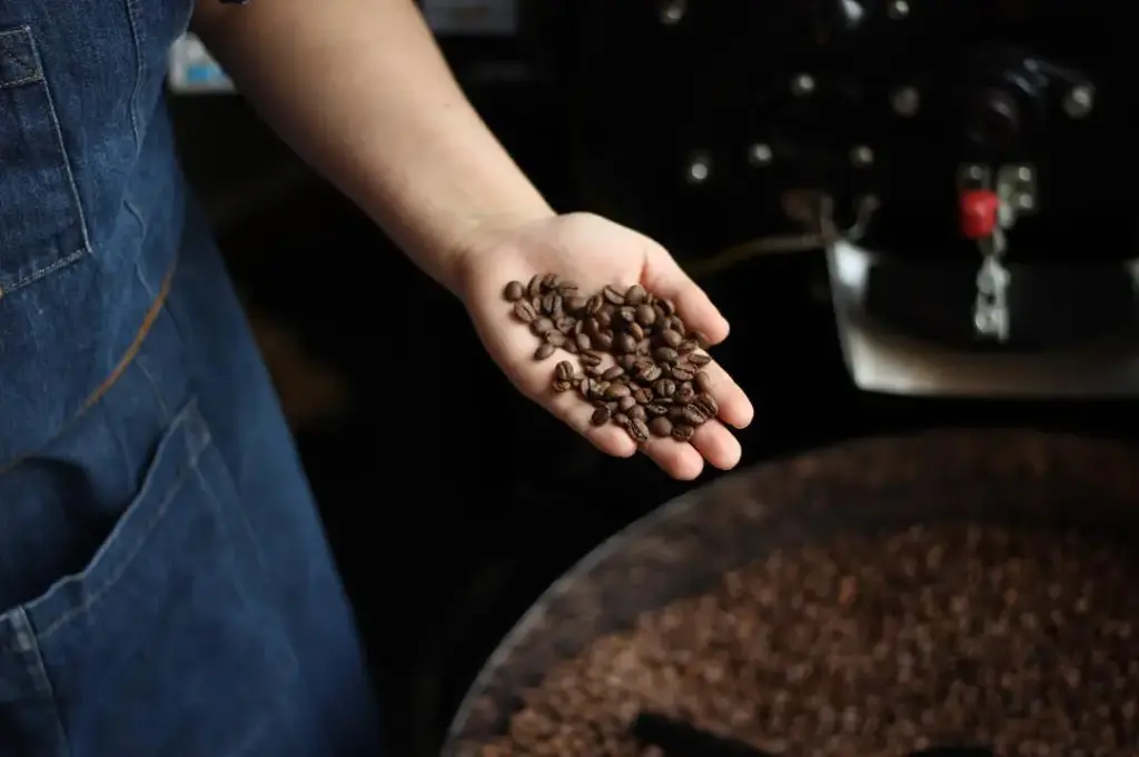 Amika Coffeehouse — foto 1