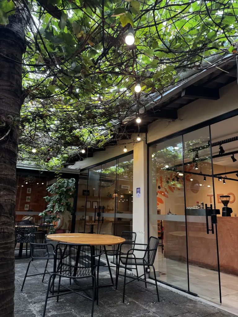 Cafeteria Teo — foto 1