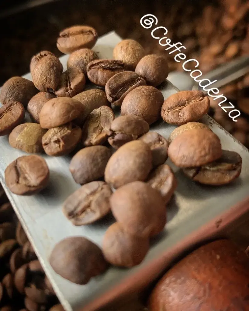 Coffè Cadenza — foto 3