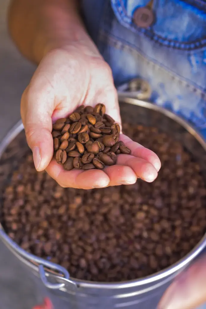 Kaffe Torrefação e Treinamento — foto 1